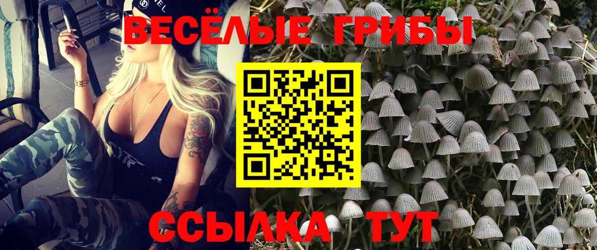Галлюциногенные грибы GOLDEN TEACHER  Вход с VPN  Псилоцибиновые грибы Psilocybine cubensis  Гудермес 