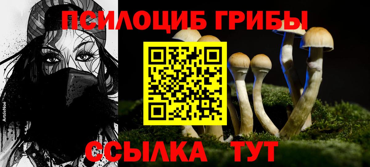 Галлюциногенные грибы мицелий Гудермес